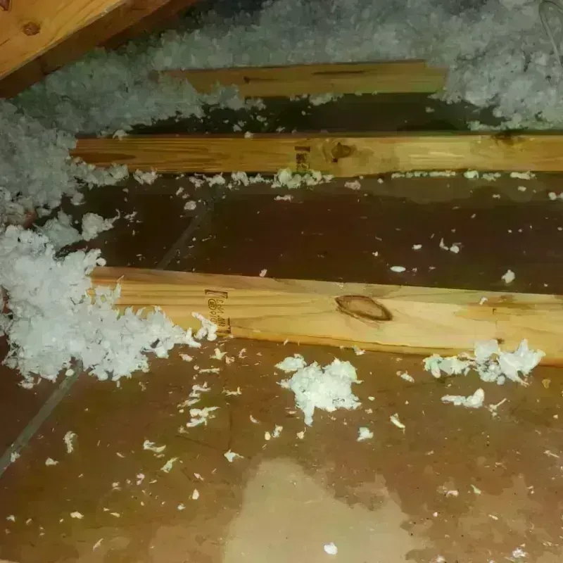 Attic Water Damage in Round Lake Park, IL