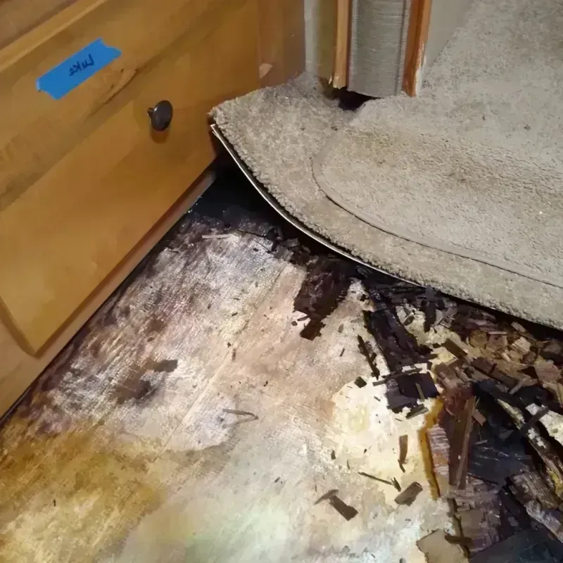 Wood Floor Water Damage in Round Lake Park, IL